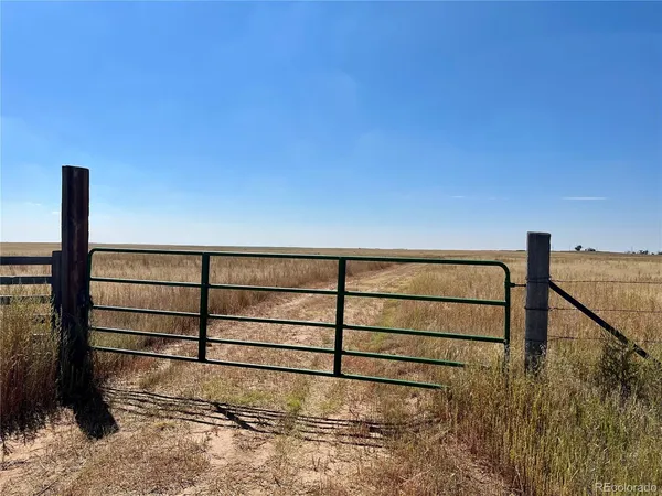 a view of a lake with a city