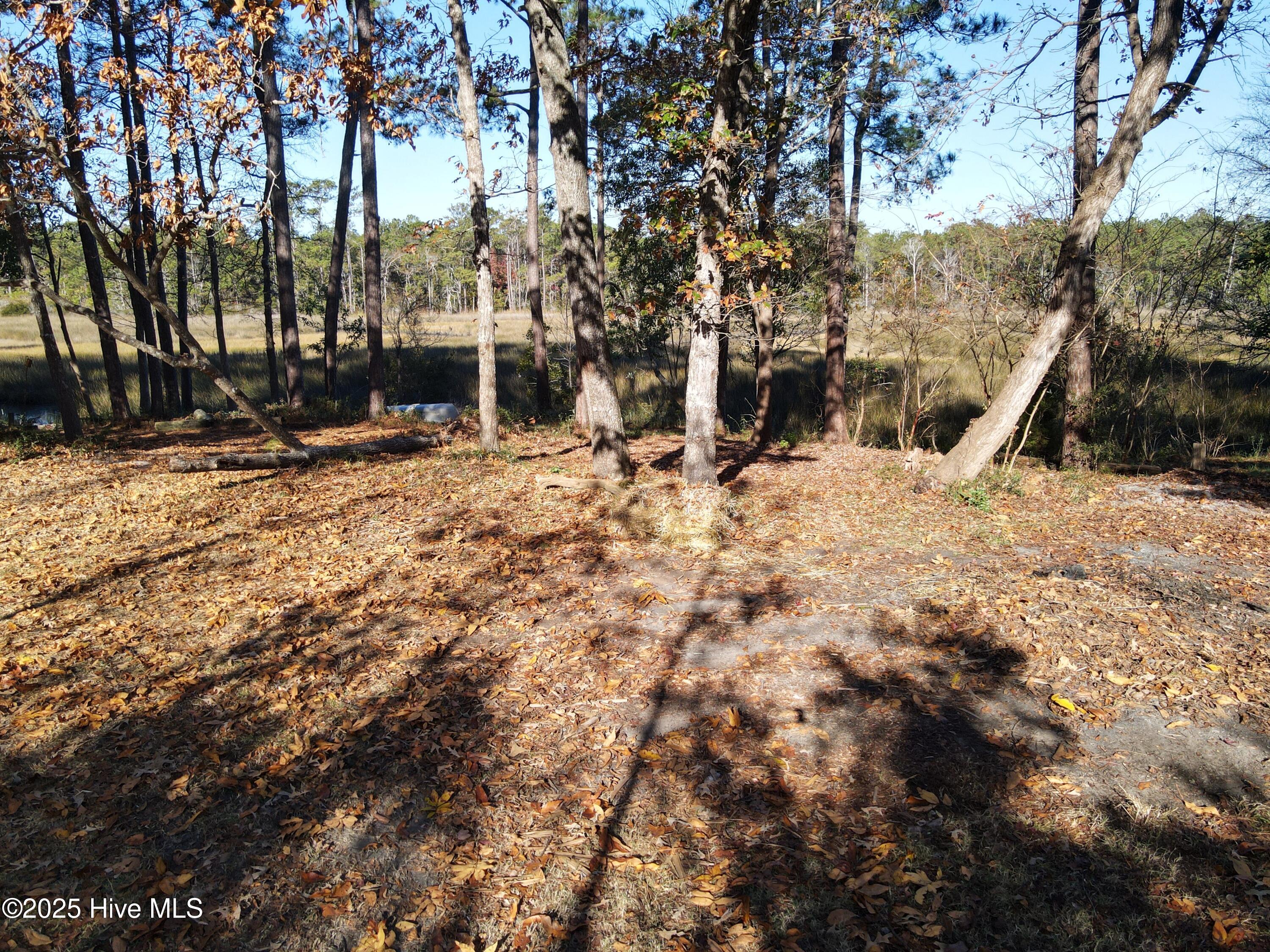 2475 Cross Lane Southwest Supply, NC 28462 - Photo 46 of 53 dji_fly_20251124_093506_860_176399491985