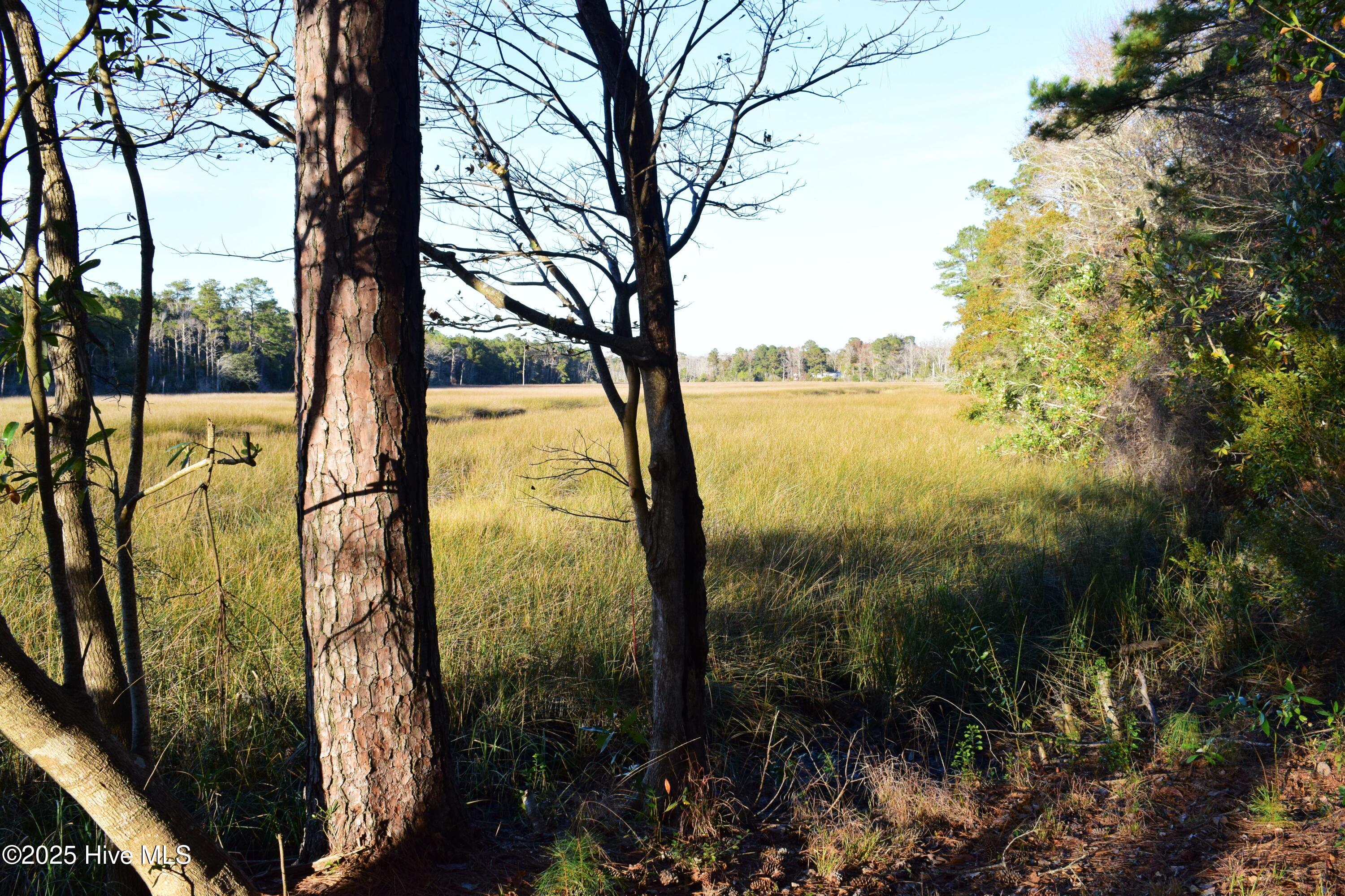 2475 Cross Lane Southwest Supply, NC 28462 - Photo 50 of 53 DSC_0004
