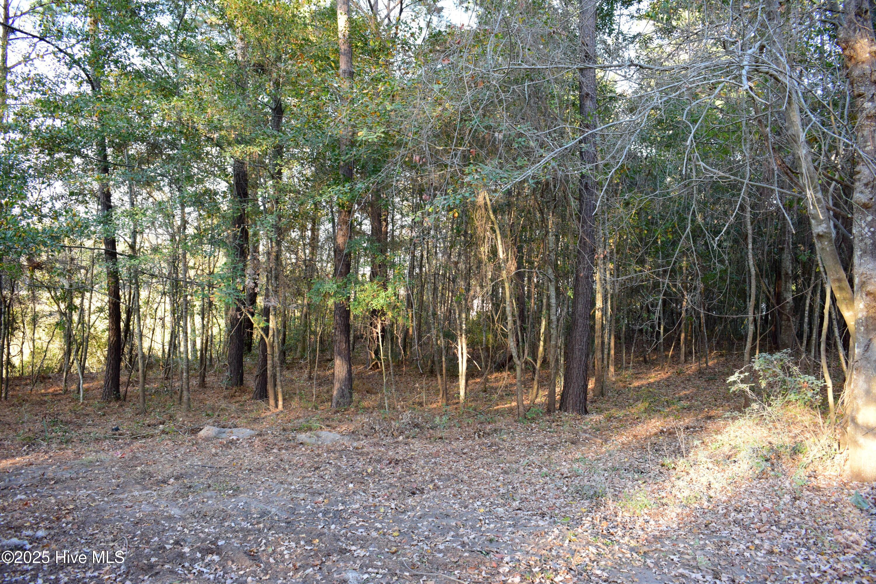 2475 Cross Lane Southwest Supply, NC 28462 - Photo 52 of 53 DSC_0008