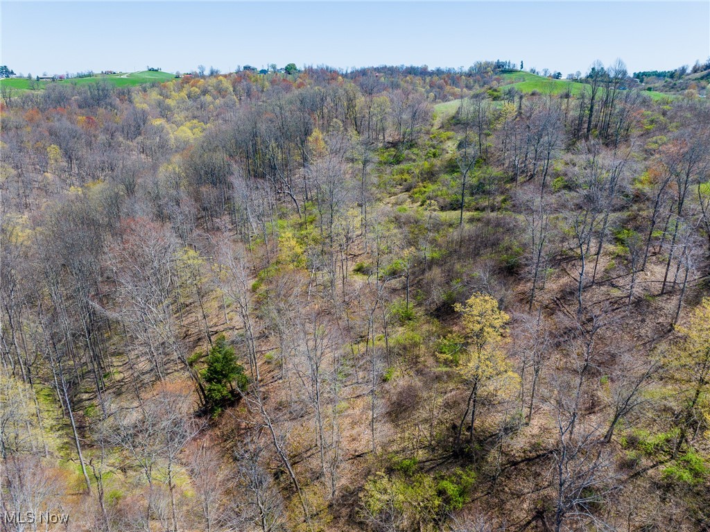 536 State Route Sardis, OH 43946 - Photo 10 of 19 Drone / aerial view with a forest view
