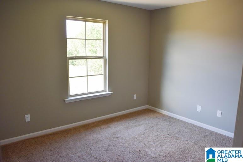 870 Braddock Road East Springville, AL 35146 - Photo 18 of 33