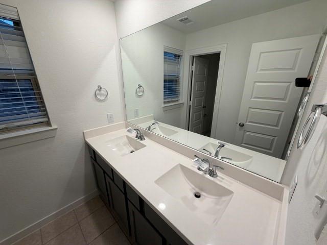 3942 Rochelle Lane Crandall, TX 75114 - Photo 19 of 20 a bathroom with a sink and a mirror