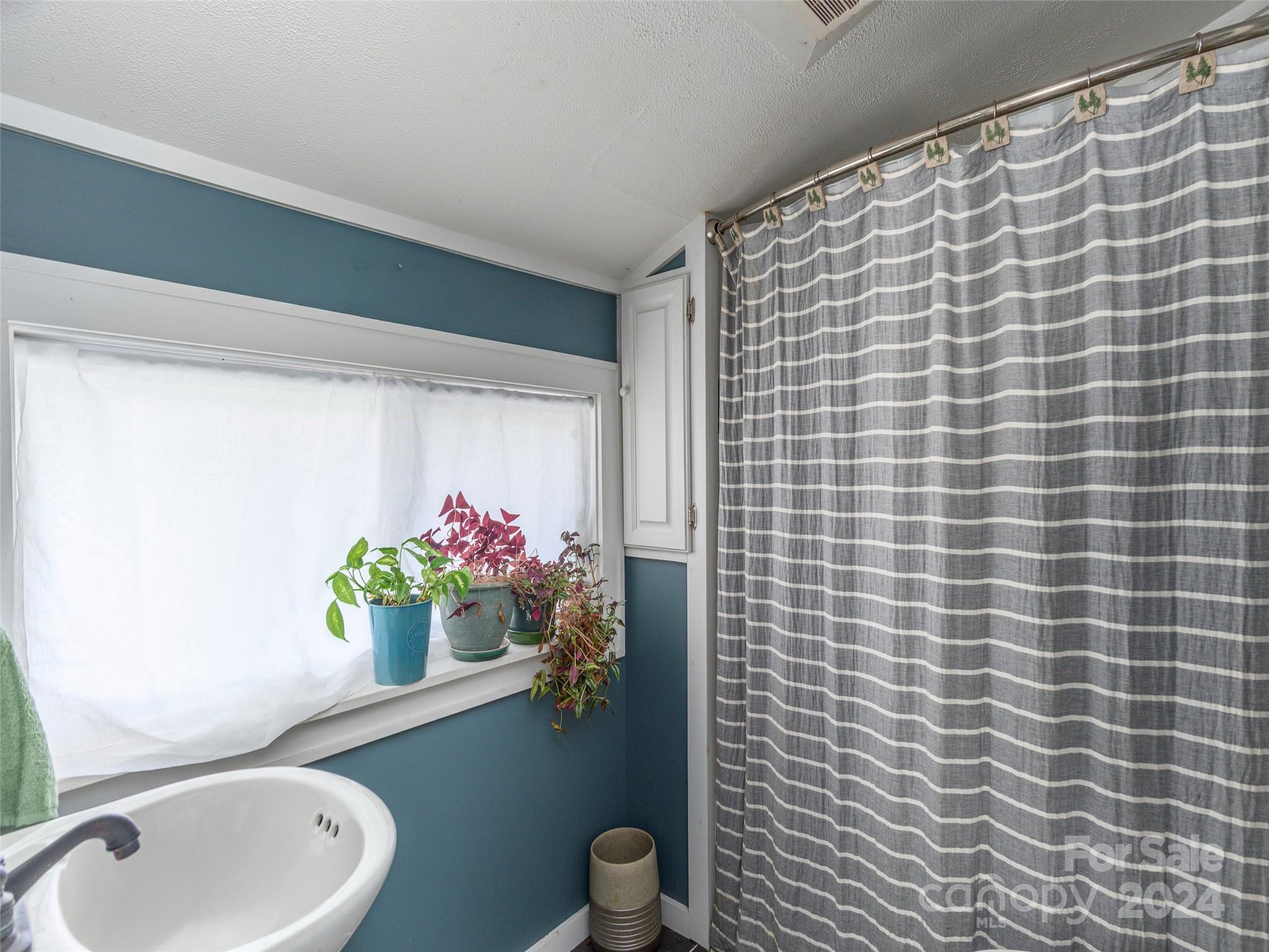883 Price Town Road Clyde, NC 28721 - Photo 19 of 34 a bathroom with a toilet sink and mirror