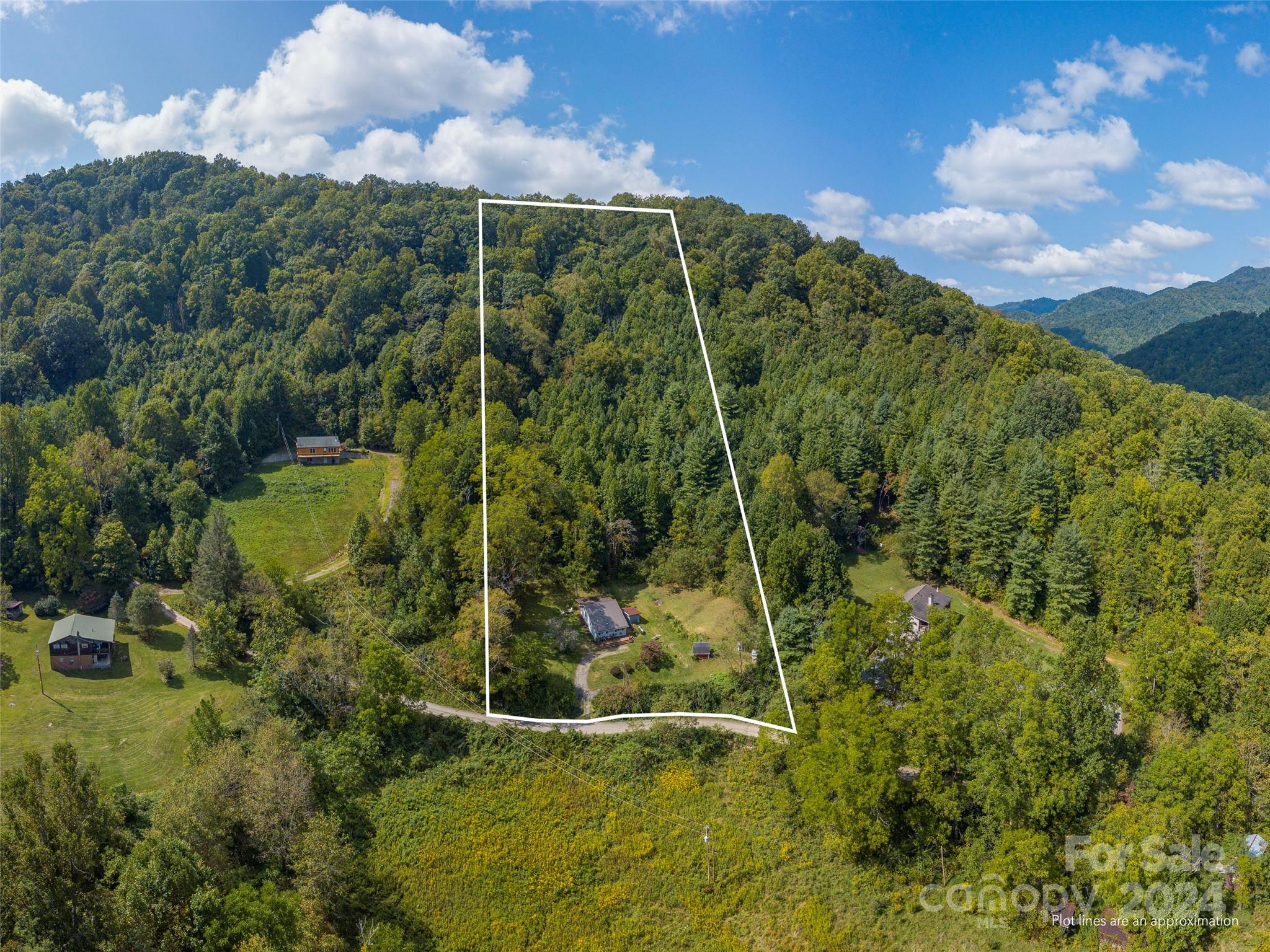 883 Price Town Road Clyde, NC 28721 - Photo 2 of 34 a view of a garden