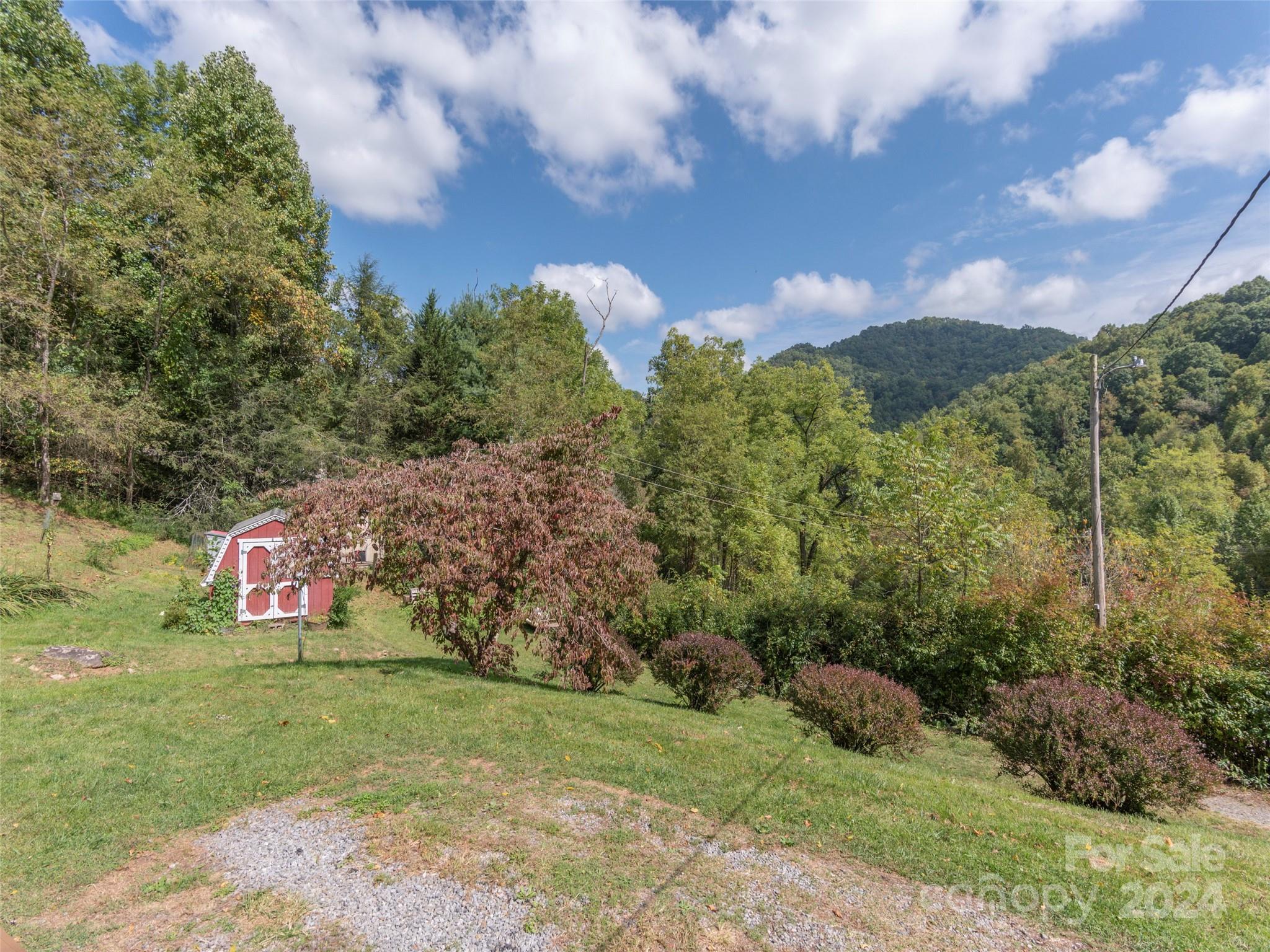 883 Price Town Road Clyde, NC 28721 - Photo 26 of 34 a view of a garden with a building in the background