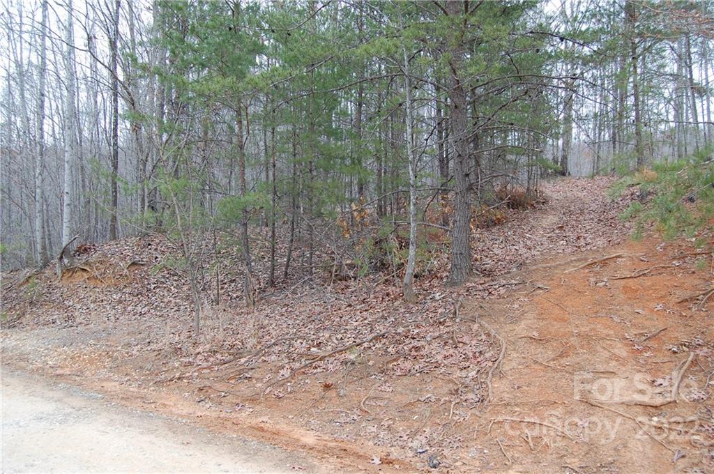 0 Goose Creek Road Marion, NC 28752 - Photo 8 of 13 Gallery Image 8