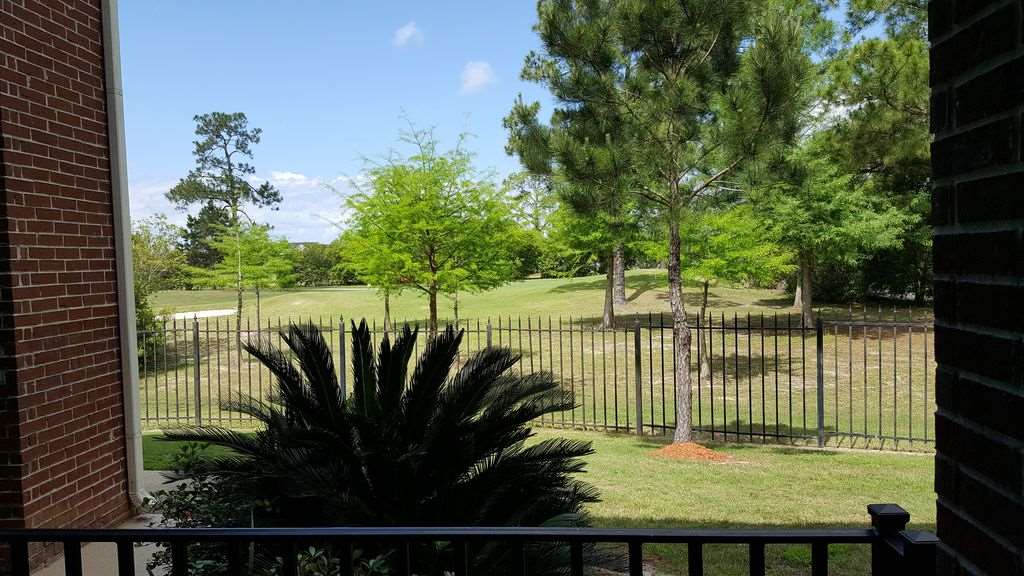 20050-407 Oak Road East, Unit 407 Gulf Shores, AL 36542 - Photo 19 of 50 View from Porch