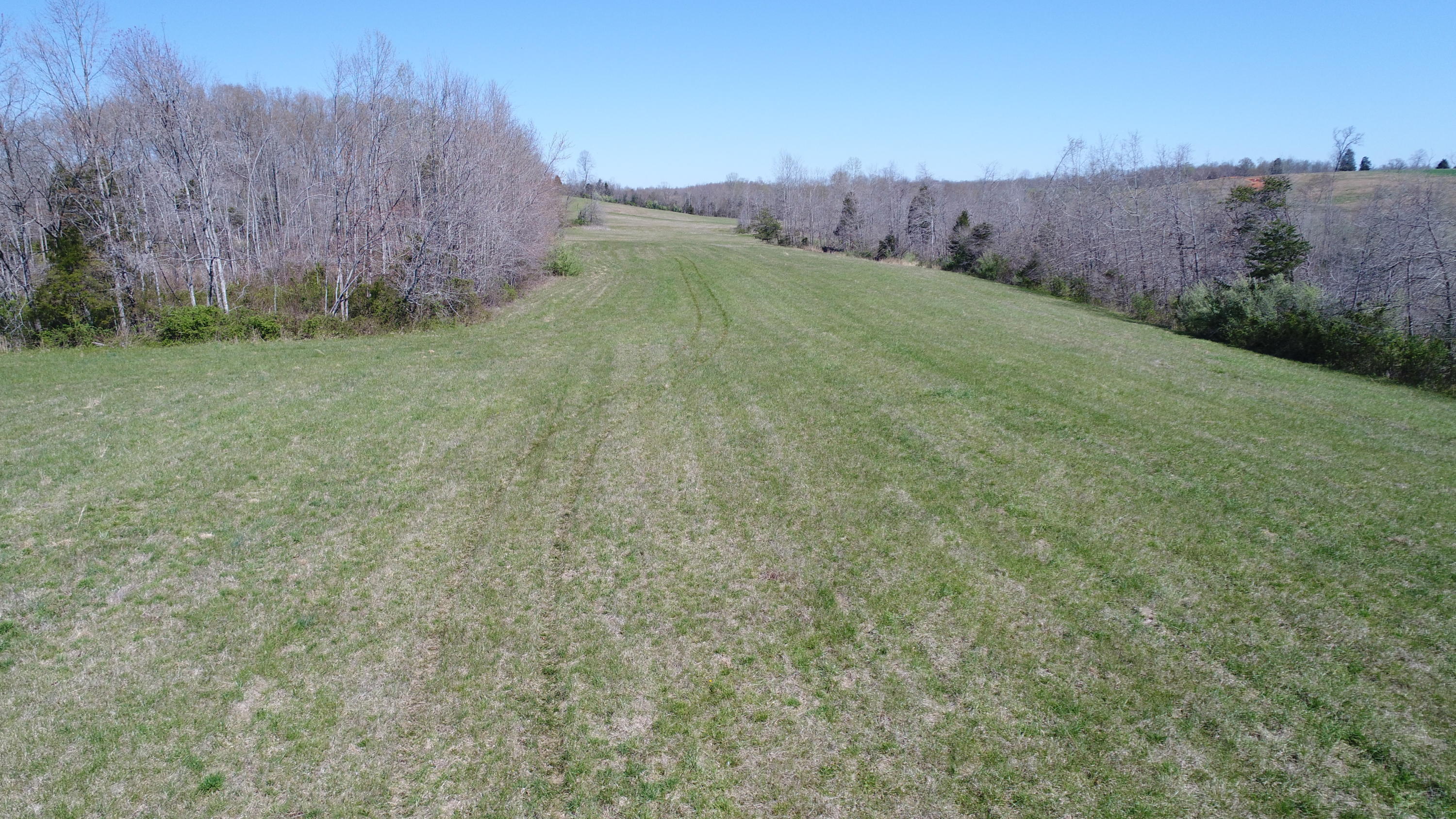 250 Ben Thompson Road Eubank, KY 42567 - Photo 9 of 15 2018-04-20 11.40.35