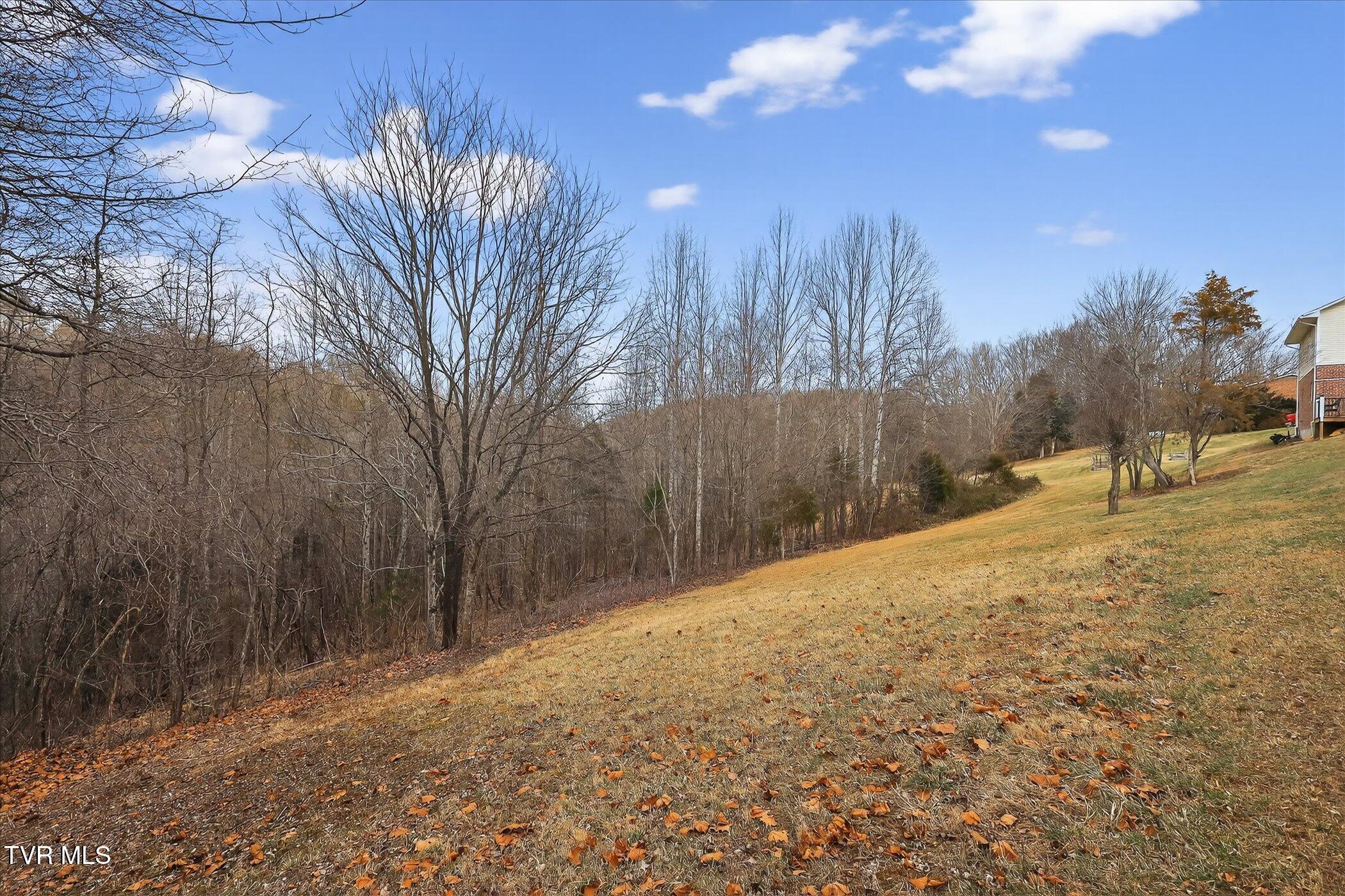 300 Poplar Grove Road Kingsport, TN 37664 - Photo 33 of 34 35-300-Poplar-Grove-Rd-Windowstill