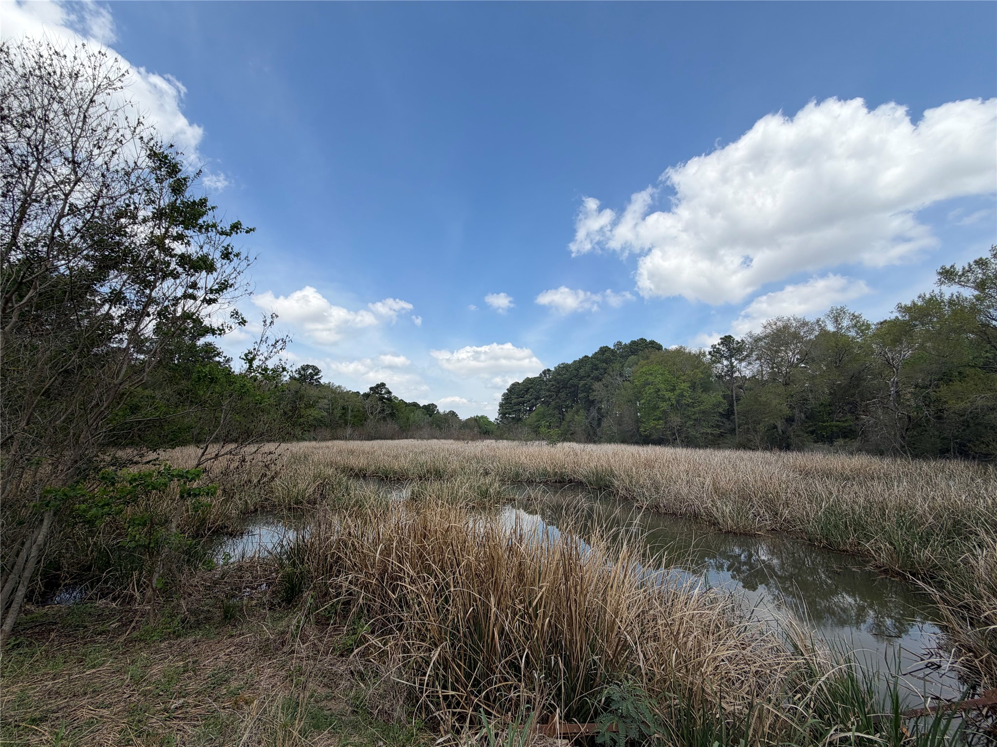 118 Edmonson Ranch Road McDade, TX 78650 - Photo 1 of 16 View of wooded area featuring a water view