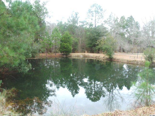 231 Kent Road Georgetown, SC 29440 - Photo 18 of 25