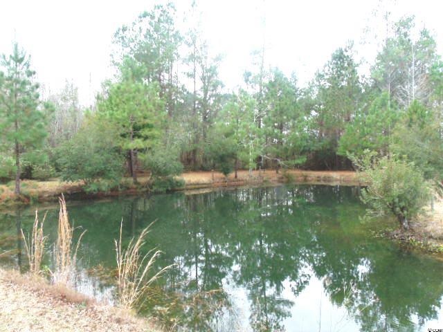 231 Kent Road Georgetown, SC 29440 - Photo 20 of 25