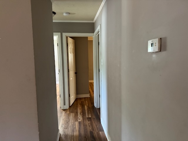 481 Talala Street Park Forest, IL 60466 - Photo 12 of 13