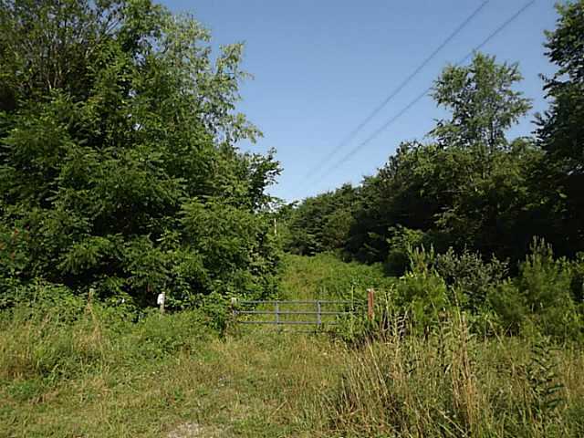 555 Hall Road Thurman, OH 45685 - Photo 1 of 11
