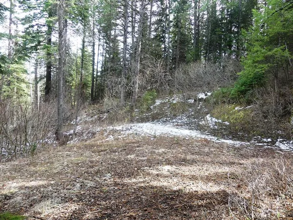 $94,500 | 573 West Mountain Road, Unit 31, Cascade, ID 83611