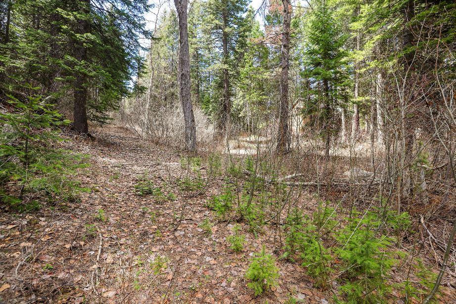 573 West Mountain Road, Unit 31 Cascade, ID 83611 - Photo 18 of 34