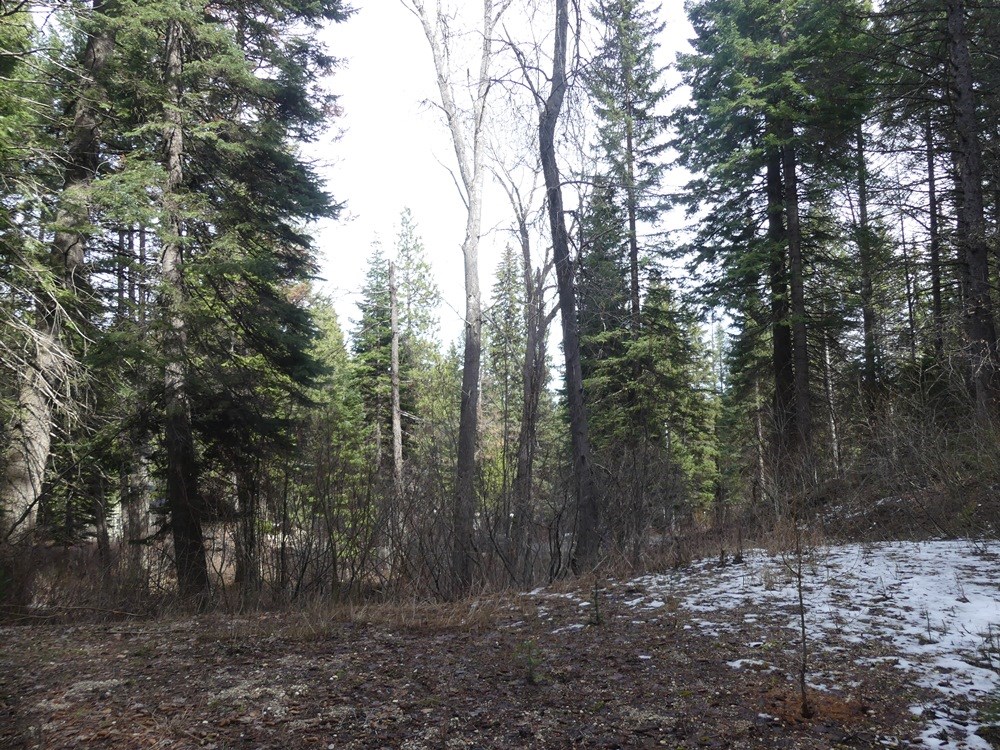 573 West Mountain Road, Unit 31 Cascade, ID 83611 - Photo 2 of 34