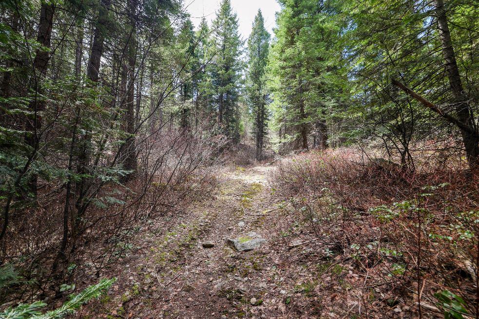 573 West Mountain Road, Unit 31 Cascade, ID 83611 - Photo 27 of 34