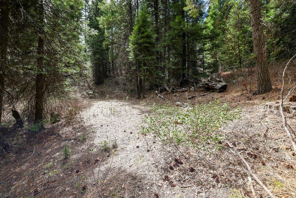 573 West Mountain Road, Unit 31 Cascade, ID 83611 - Photo 29 of 34