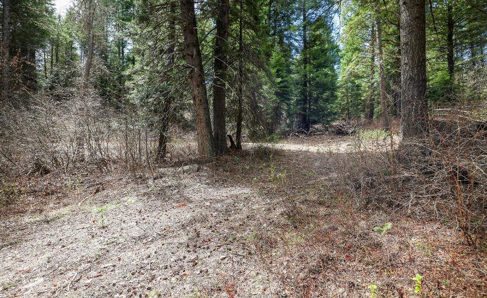 573 West Mountain Road, Unit 31 Cascade, ID 83611 - Photo 30 of 34