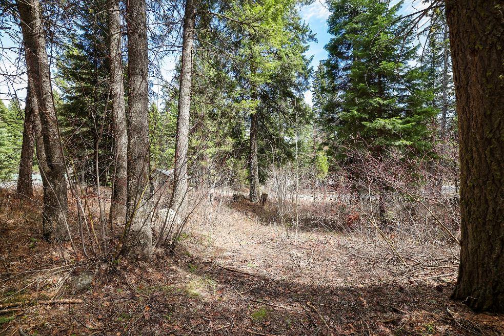 573 West Mountain Road, Unit 31 Cascade, ID 83611 - Photo 31 of 34