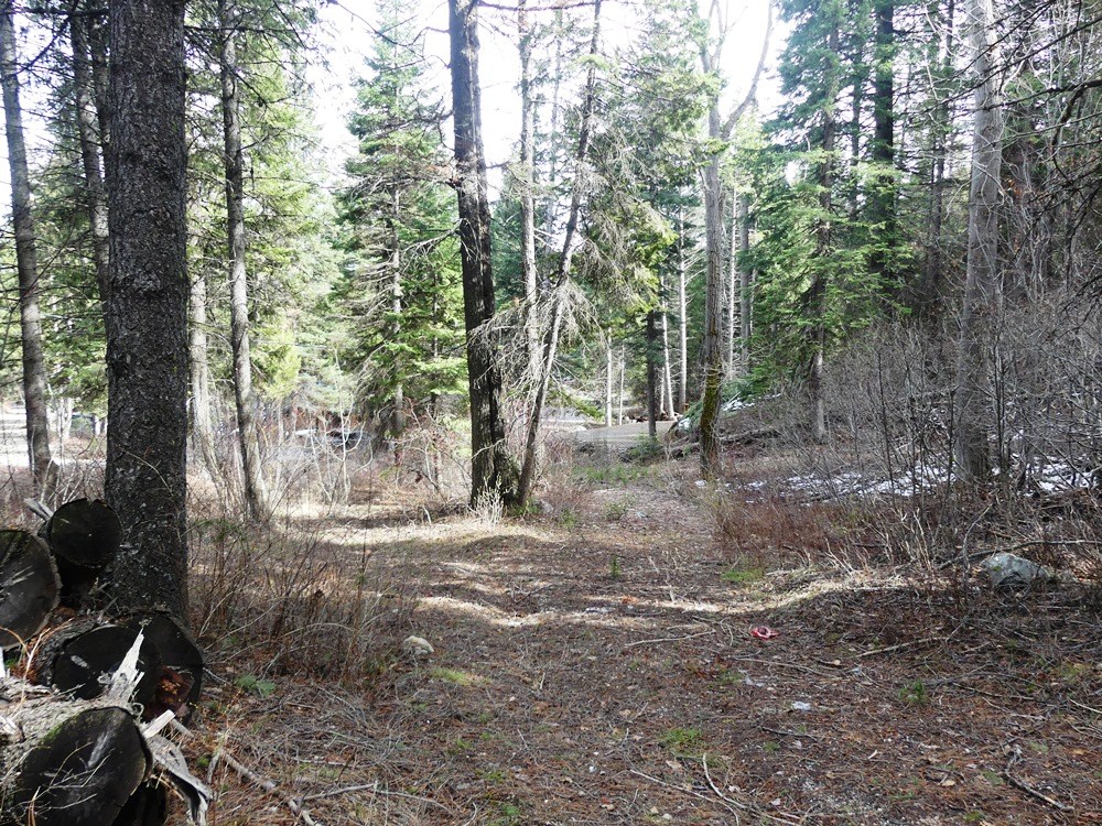 573 West Mountain Road, Unit 31 Cascade, ID 83611 - Photo 5 of 34