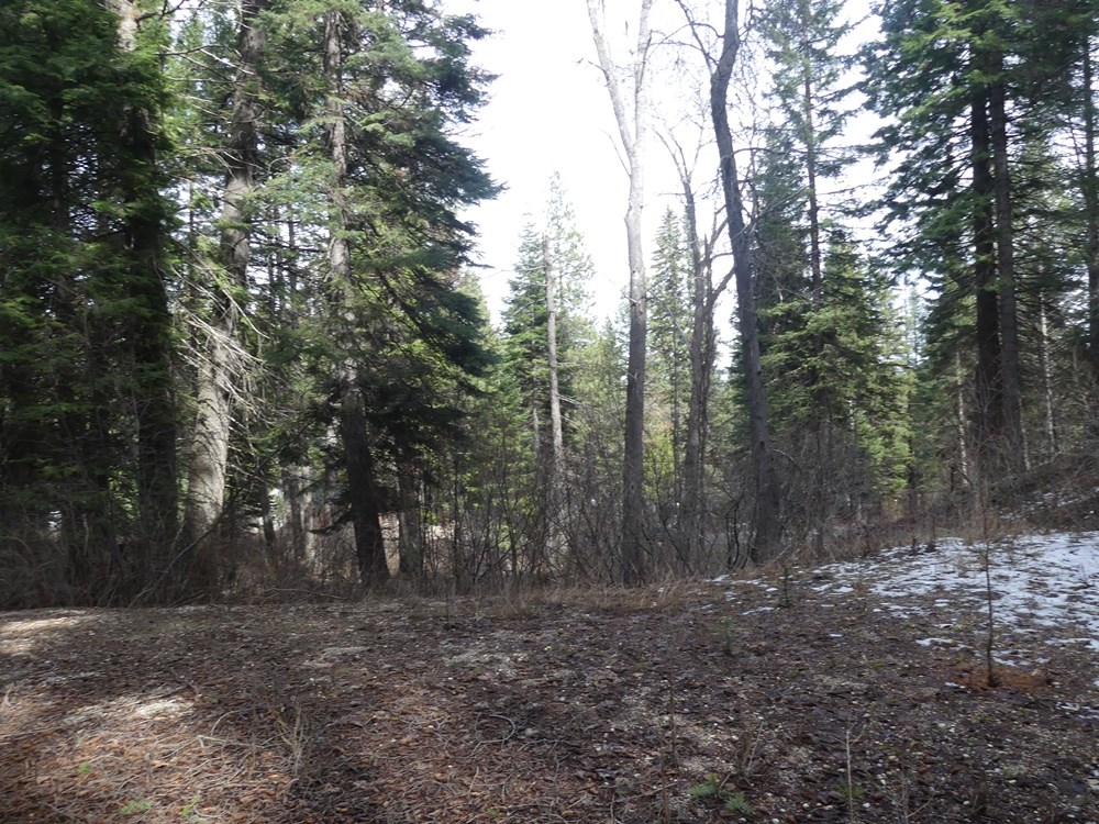 573 West Mountain Road, Unit 31 Cascade, ID 83611 - Photo 8 of 34