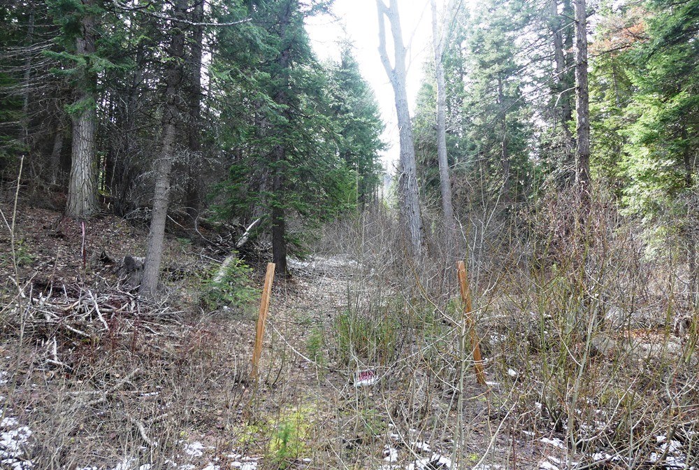 573 West Mountain Road, Unit 31 Cascade, ID 83611 - Photo 9 of 34