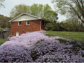 116 Emmas Grove Road Fletcher, NC 28732 - Photo 4 of 13 Gallery Image 4