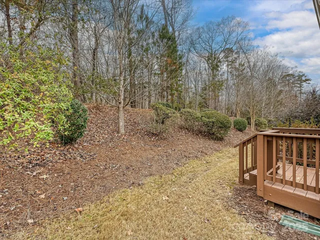 a view of a wooden deck with large trees