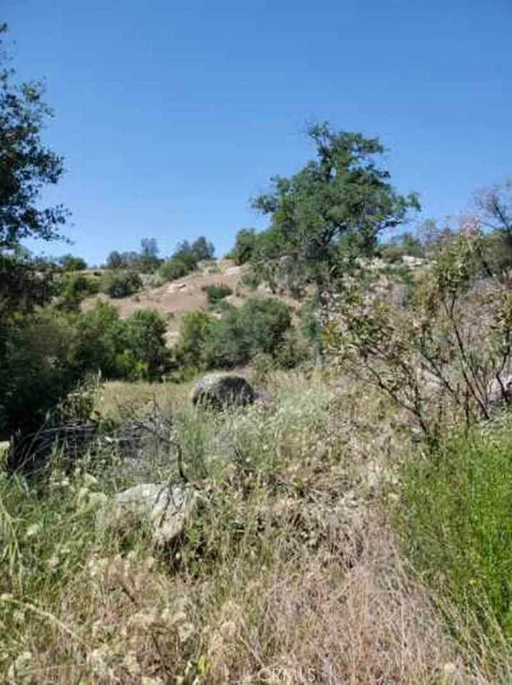 0 Ranger Cir Drive Coarsegold, CA 93614 - Photo 17 of 17
