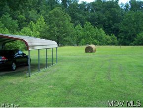 3873 Tariff Road Looneyville, WV 25259 - Photo 8 of 10 Carport and large level lawn