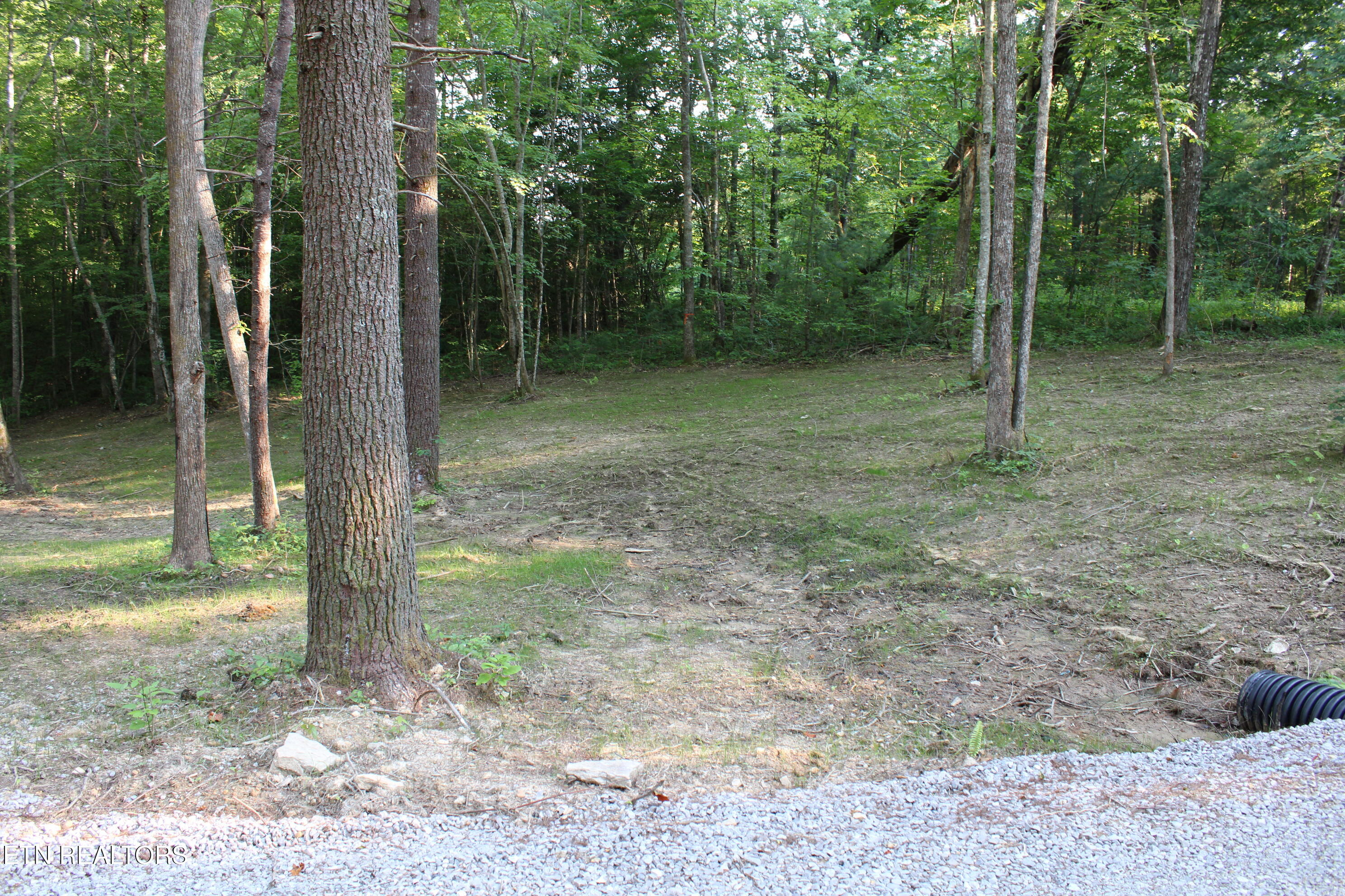 137 John Cox Road Deer Lodge, TN 37726 - Photo 11 of 43 IMG_0263