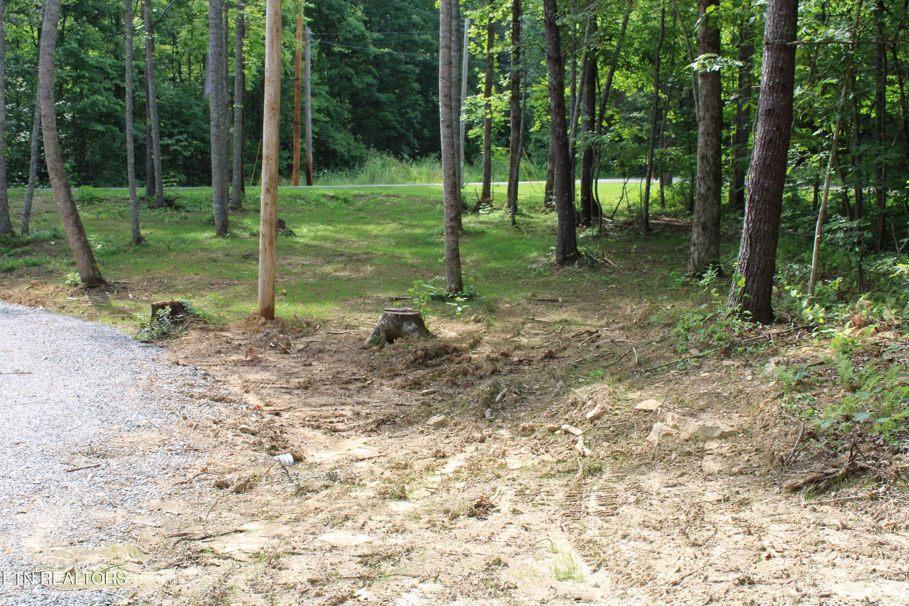 137 John Cox Road Deer Lodge, TN 37726 - Photo 12 of 43 IMG_0316