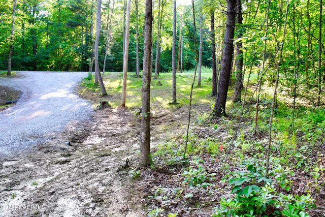 $189,900 | 137 John Cox Road, Deer Lodge, TN 37726