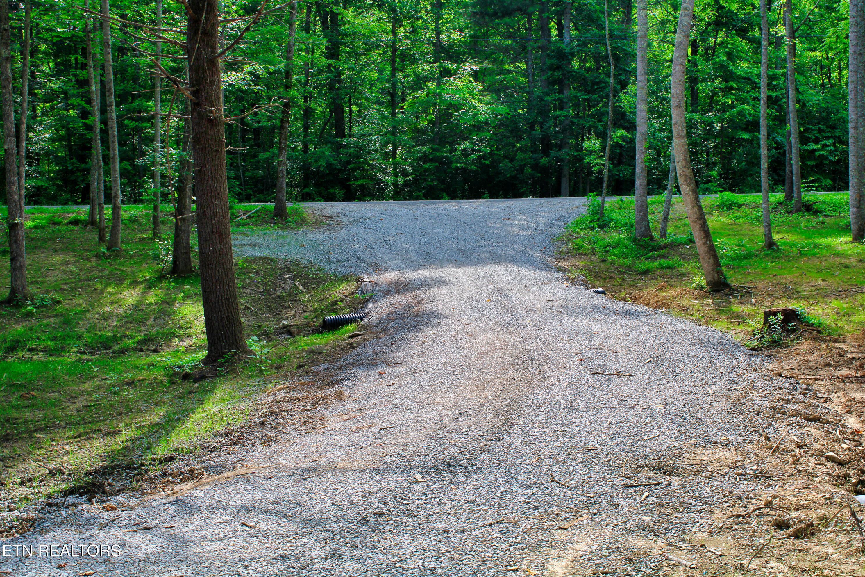 137 John Cox Road Deer Lodge, TN 37726 - Photo 37 of 43 IMG_0317
