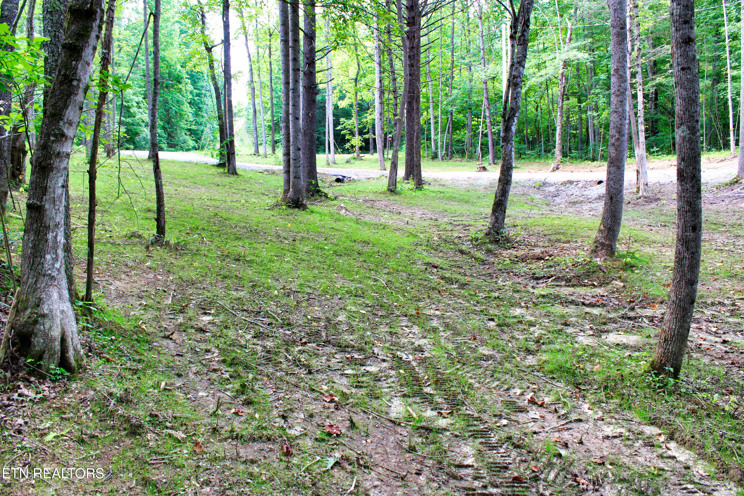 137 John Cox Road Deer Lodge, TN 37726 - Photo 38 of 43 IMG_0329