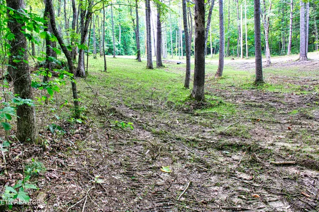 $189,900 | 137 John Cox Road, Deer Lodge, TN 37726