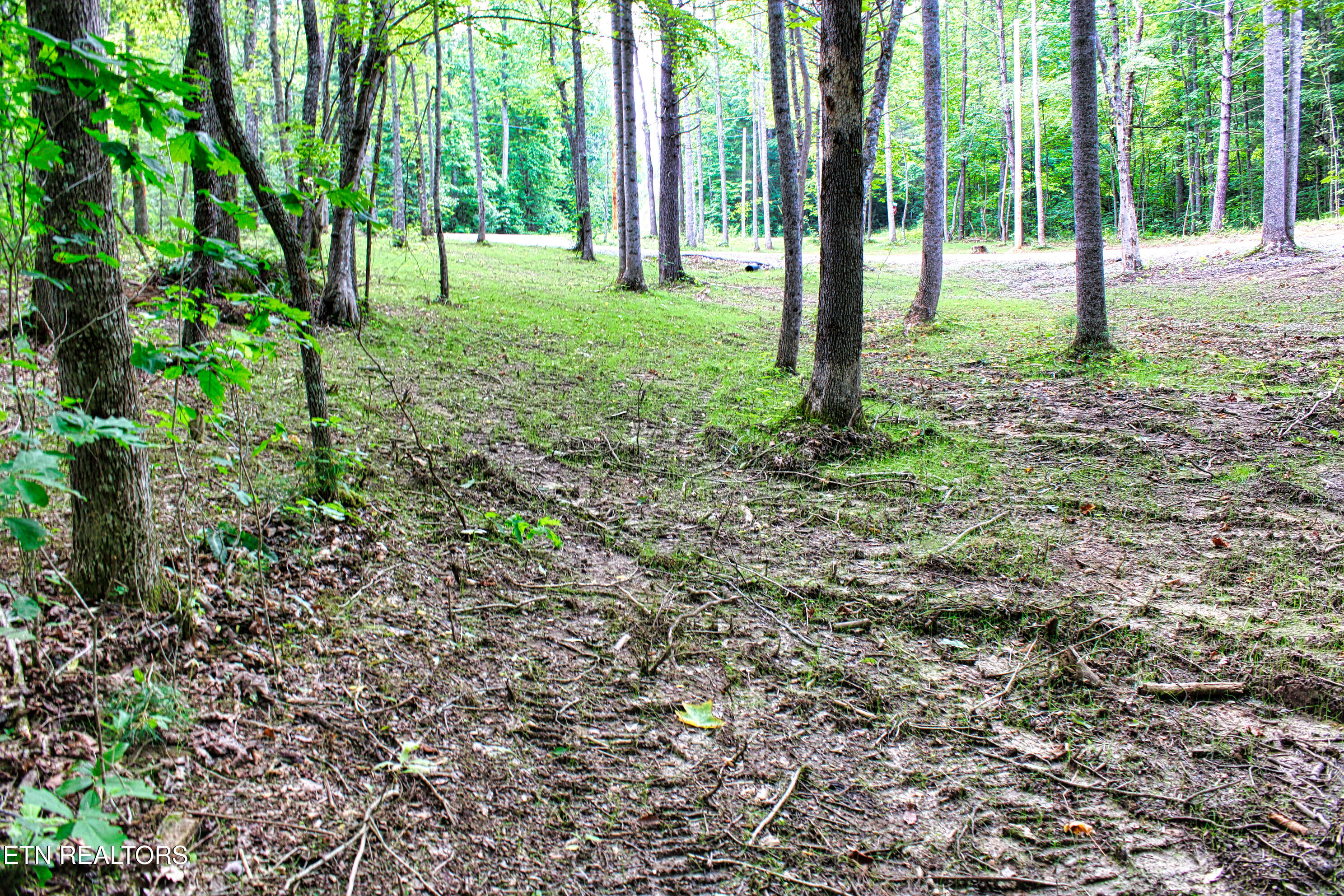 137 John Cox Road Deer Lodge, TN 37726 - Photo 39 of 43 IMG_0331