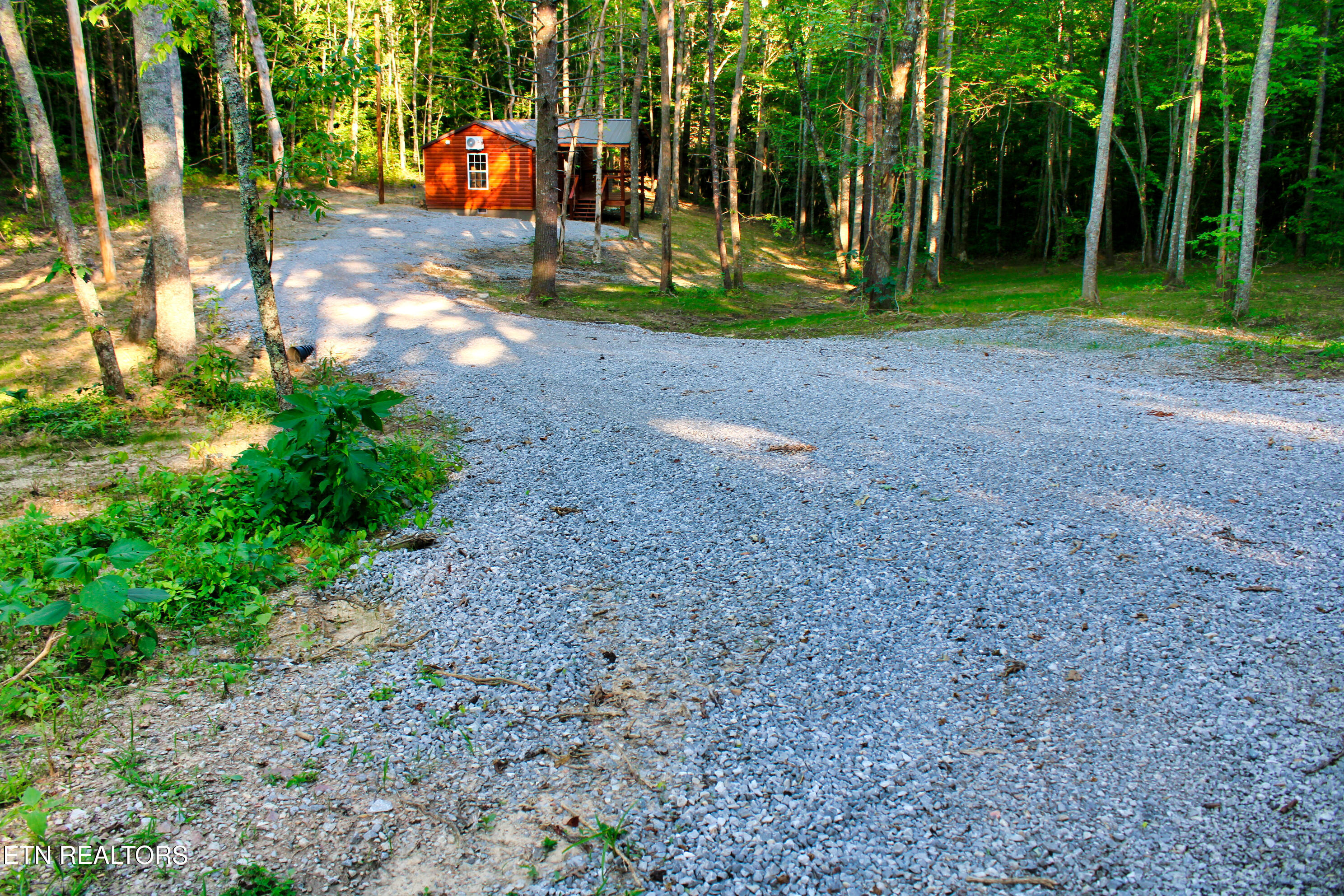 137 John Cox Road Deer Lodge, TN 37726 - Photo 6 of 43 IMG_0268