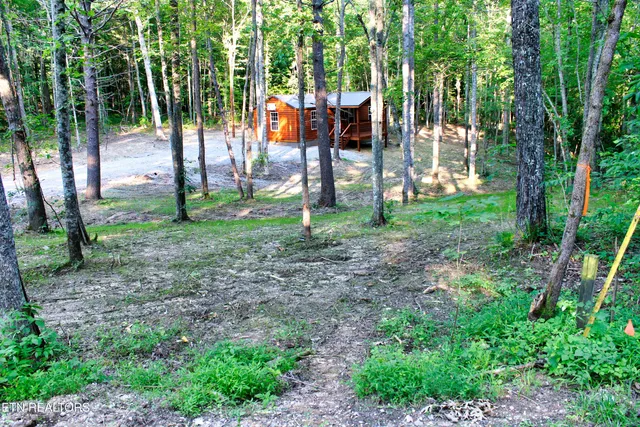 $189,900 | 137 John Cox Road, Deer Lodge, TN 37726