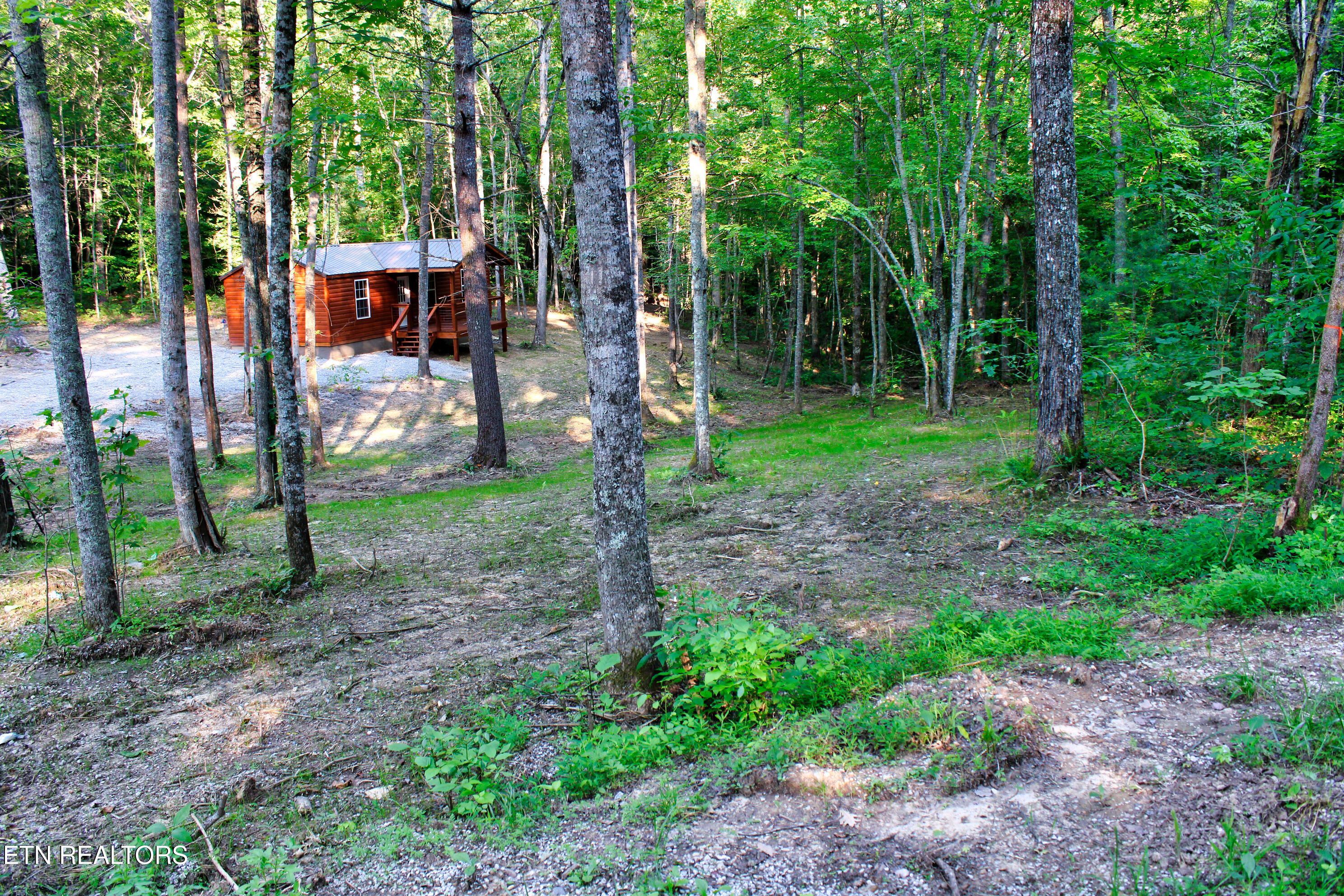 137 John Cox Road Deer Lodge, TN 37726 - Photo 9 of 43 IMG_0271