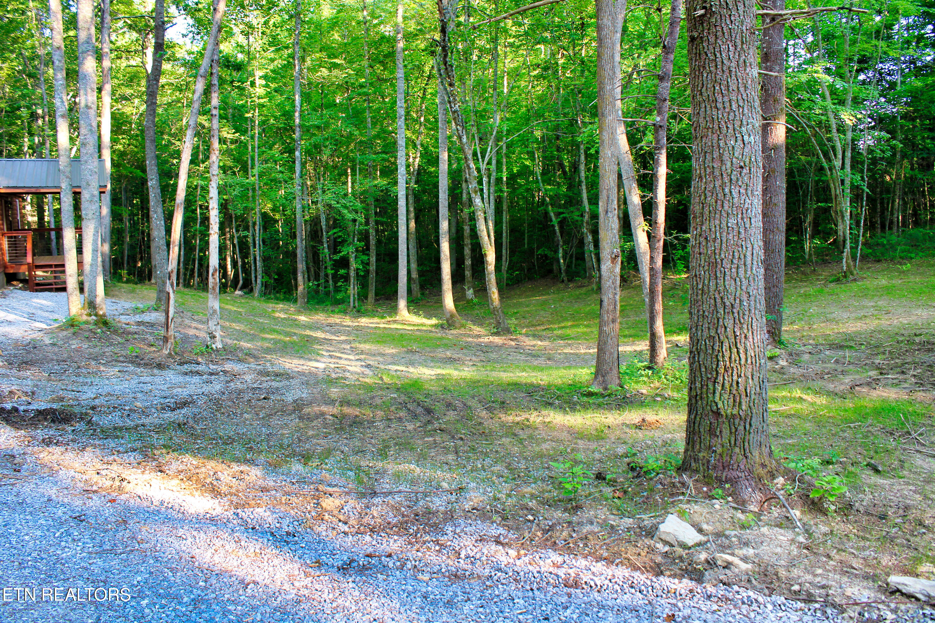 137 John Cox Road Deer Lodge, TN 37726 - Photo 10 of 43 IMG_0262