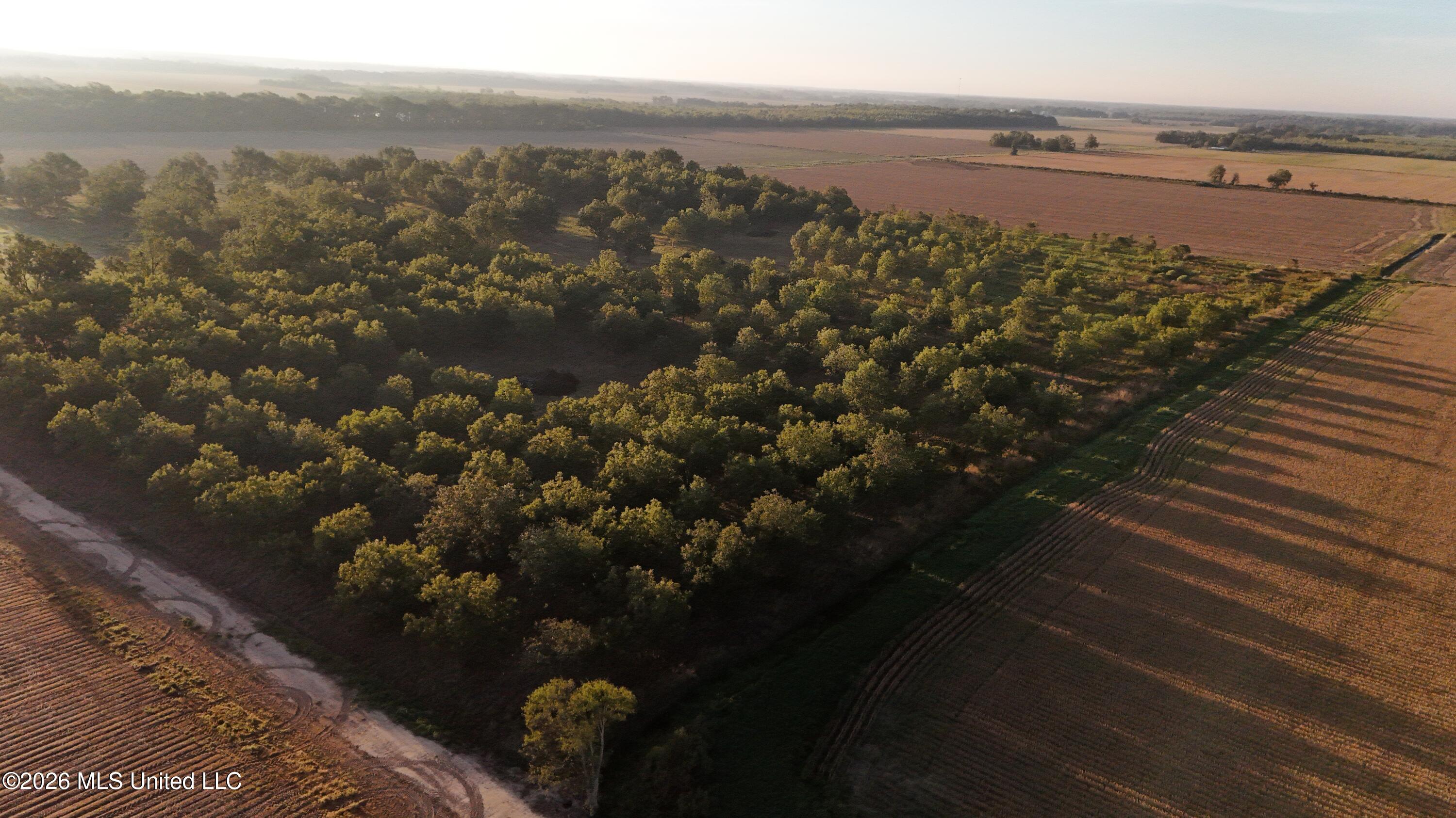 Interstate Road Shaw, MS 38773 - Photo 6 of 31 DJI_20260924085454_0600_D