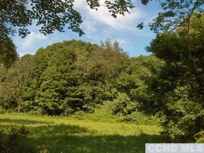 0 Cascade Road Amenia, NY 12501 - Photo 3 of 4 Photo 3