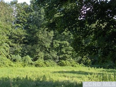 0 Cascade Road Amenia, NY 12501 - Photo 4 of 4 Photo 4