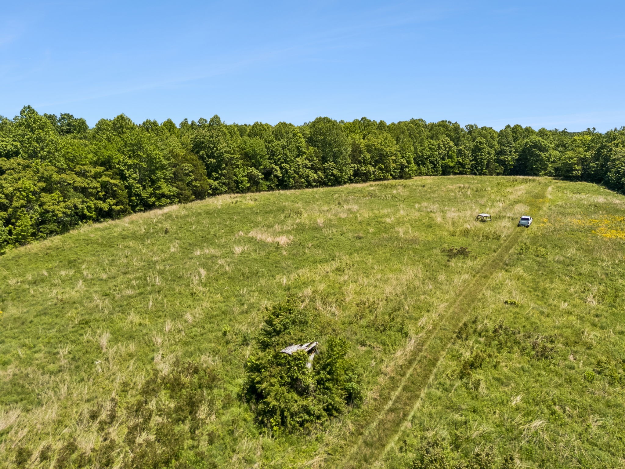 655 Burton Ridge Road Silver Point, TN 38582 - Photo 40 of 64