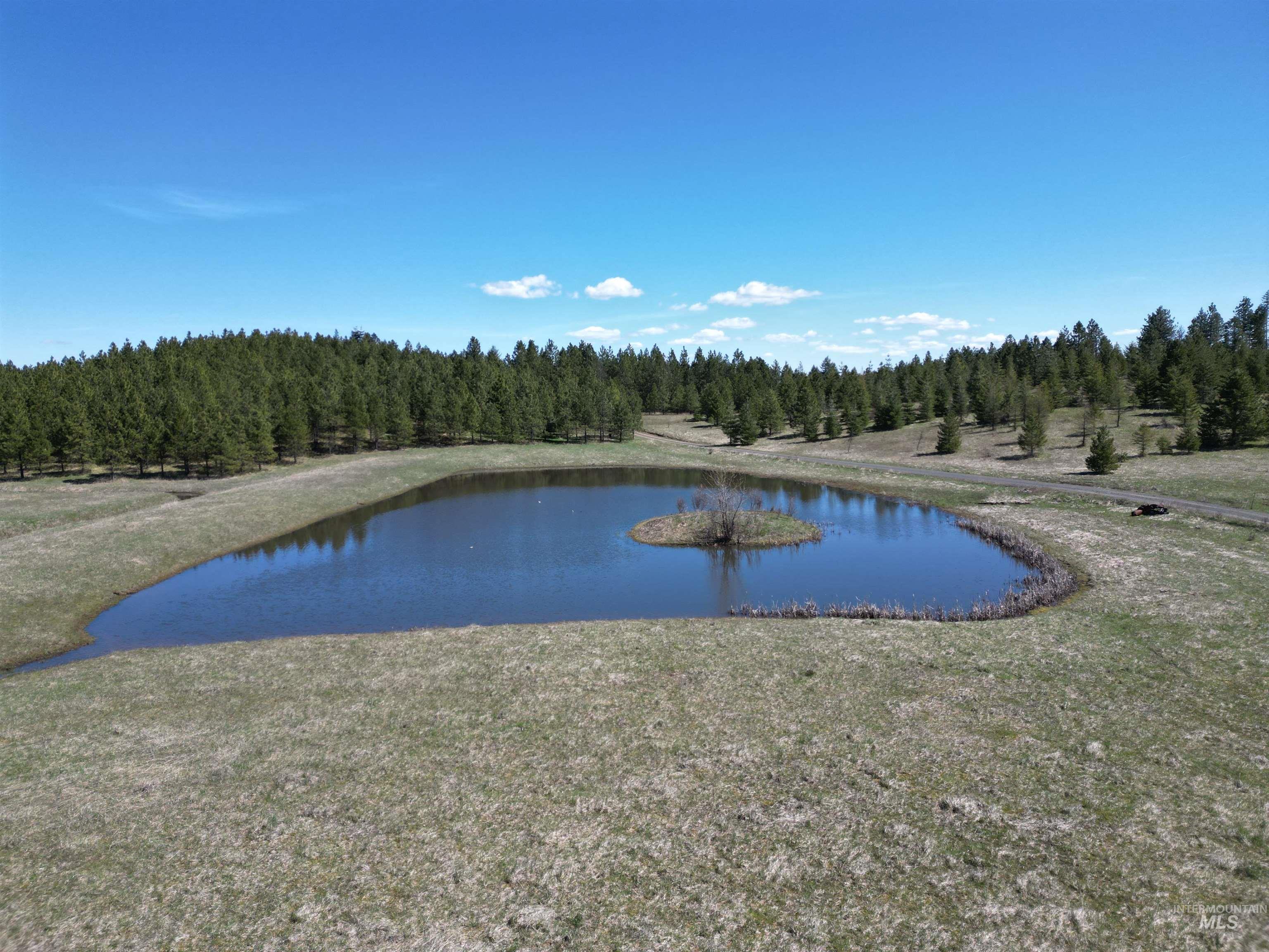 Tbd Middle Road Ahsahka, ID 83520 - Photo 17 of 31