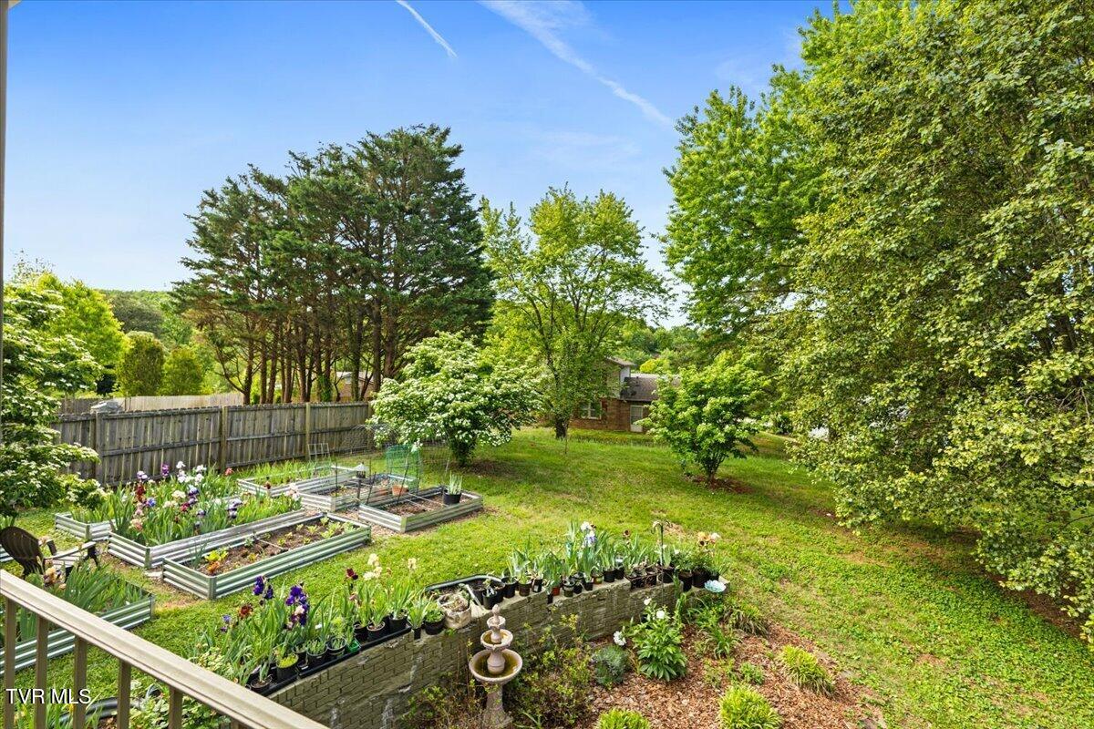 1406 Kevin Lane Greeneville, TN 37745 - Photo 35 of 45 Backyard